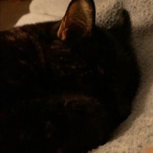 Meet your Posher, Pat